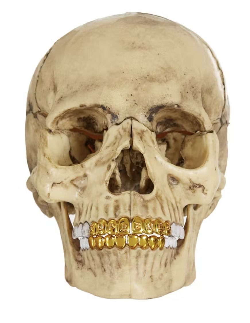 Supreme 4D Human Skull