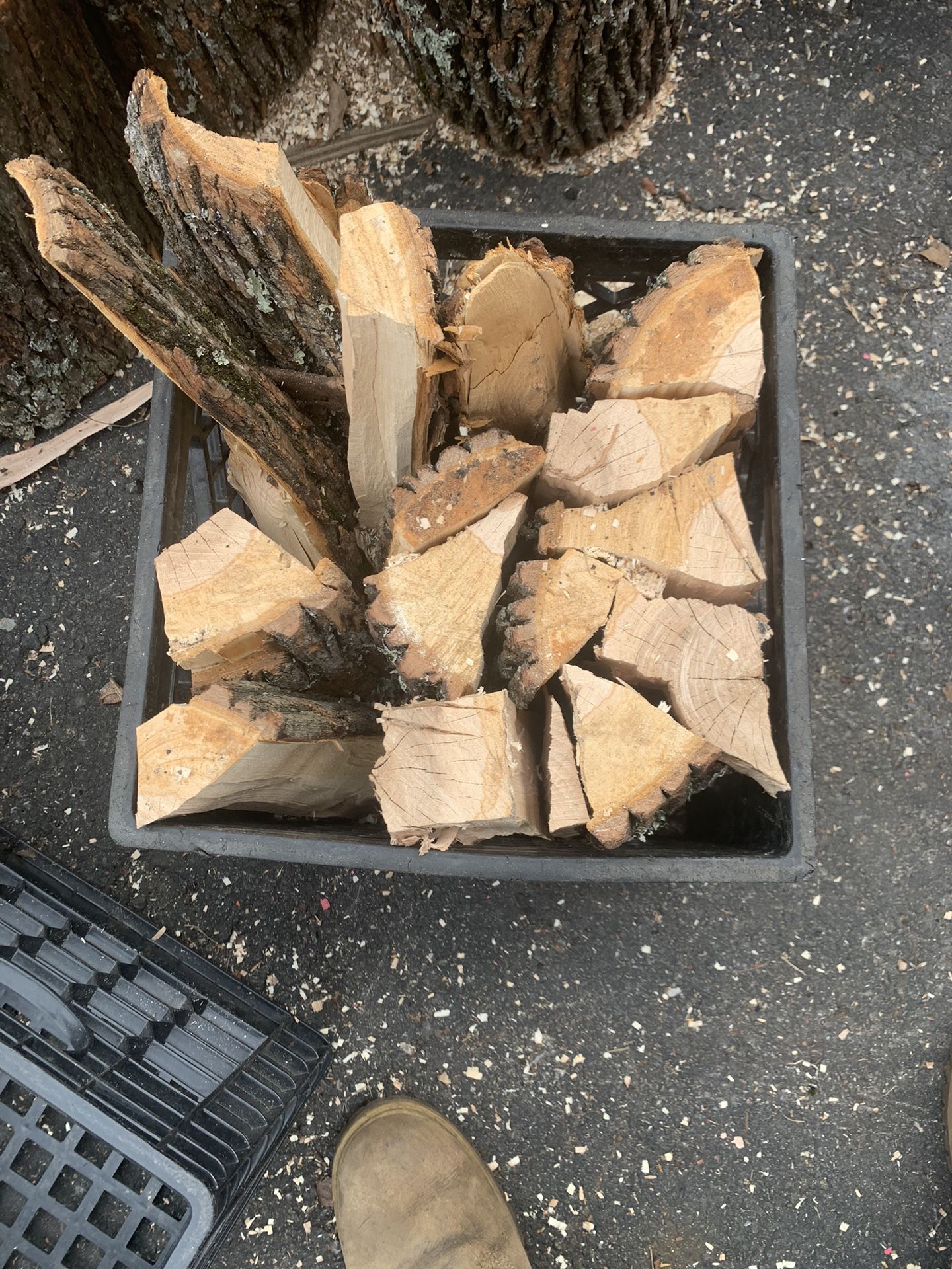 Fire Wood 