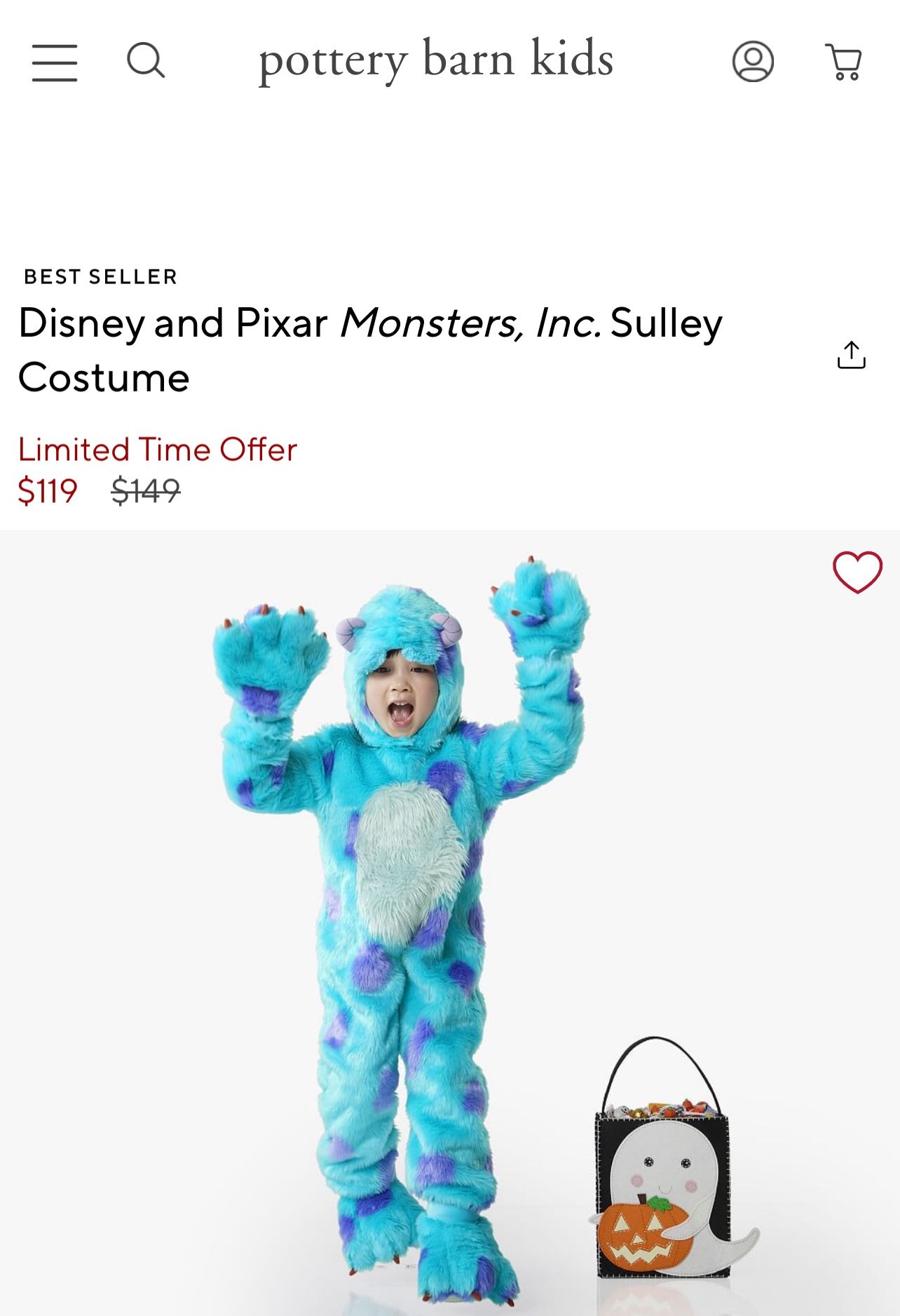 Kids Halloween Costume Pottery Barn