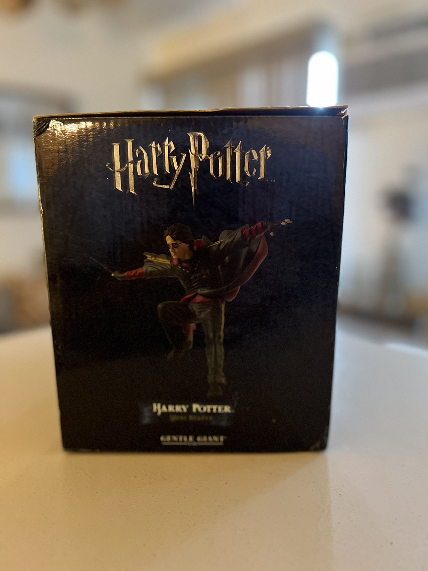 Gentle Giant Harry Potter Flying