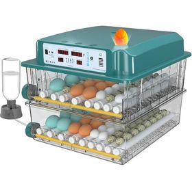 Incubator, Incubadora