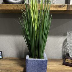 Fake Decorative Plant