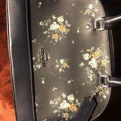 Coach Purse/bag Lot