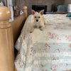Doris M