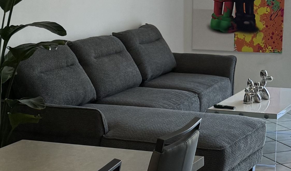 Grey Couch with Coffee Table