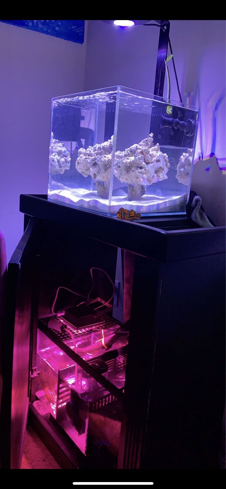 8 Gallon Nano Reef With 10 Gallon Sump/equip