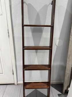 Bunk bed ladder