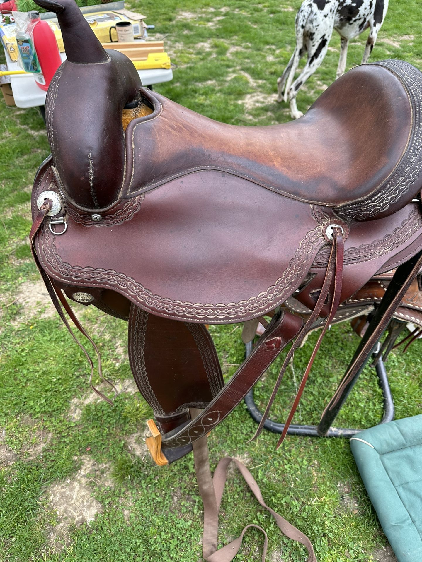 Circle Y Saddle