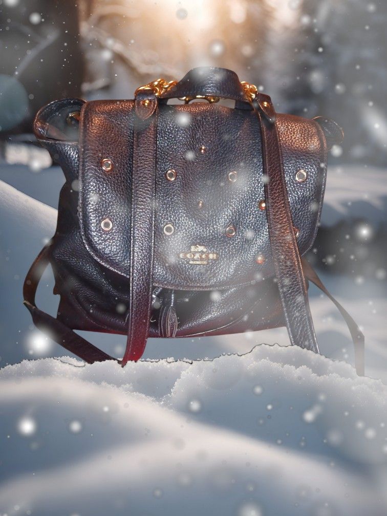 Ahh Coach Jade Backpack 