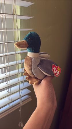 Vintage Jake the Duck TY Beanie Baby