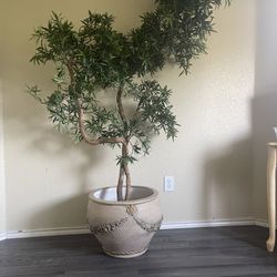Beautiful Fake Plant 7ft Tall Price Is Firm 