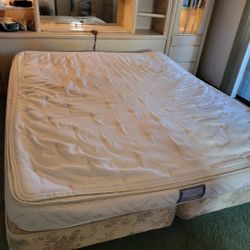 Free King Size Soft Sided Watercoud Water Bed