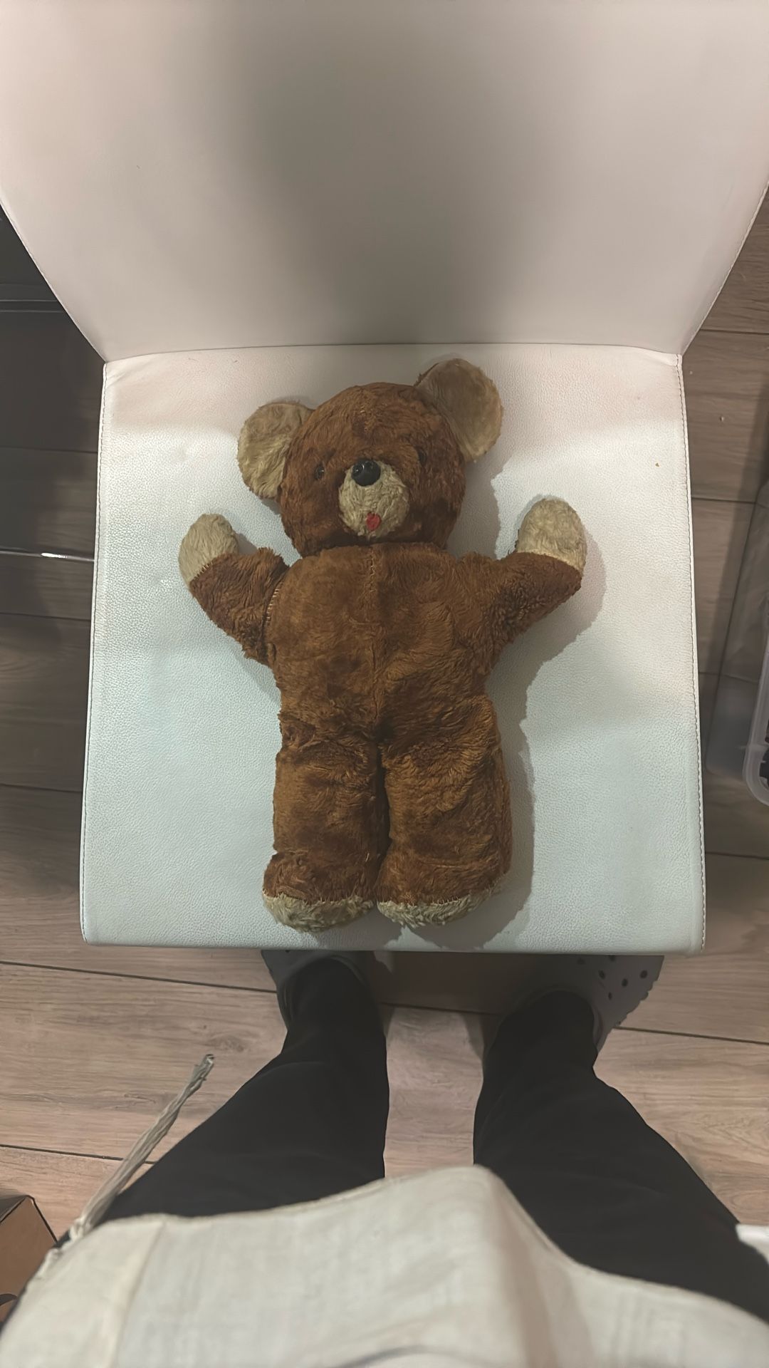 Vintage1950’s Teddy Bear
