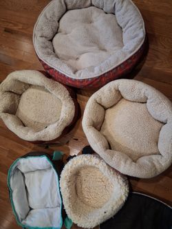 Pet Beds