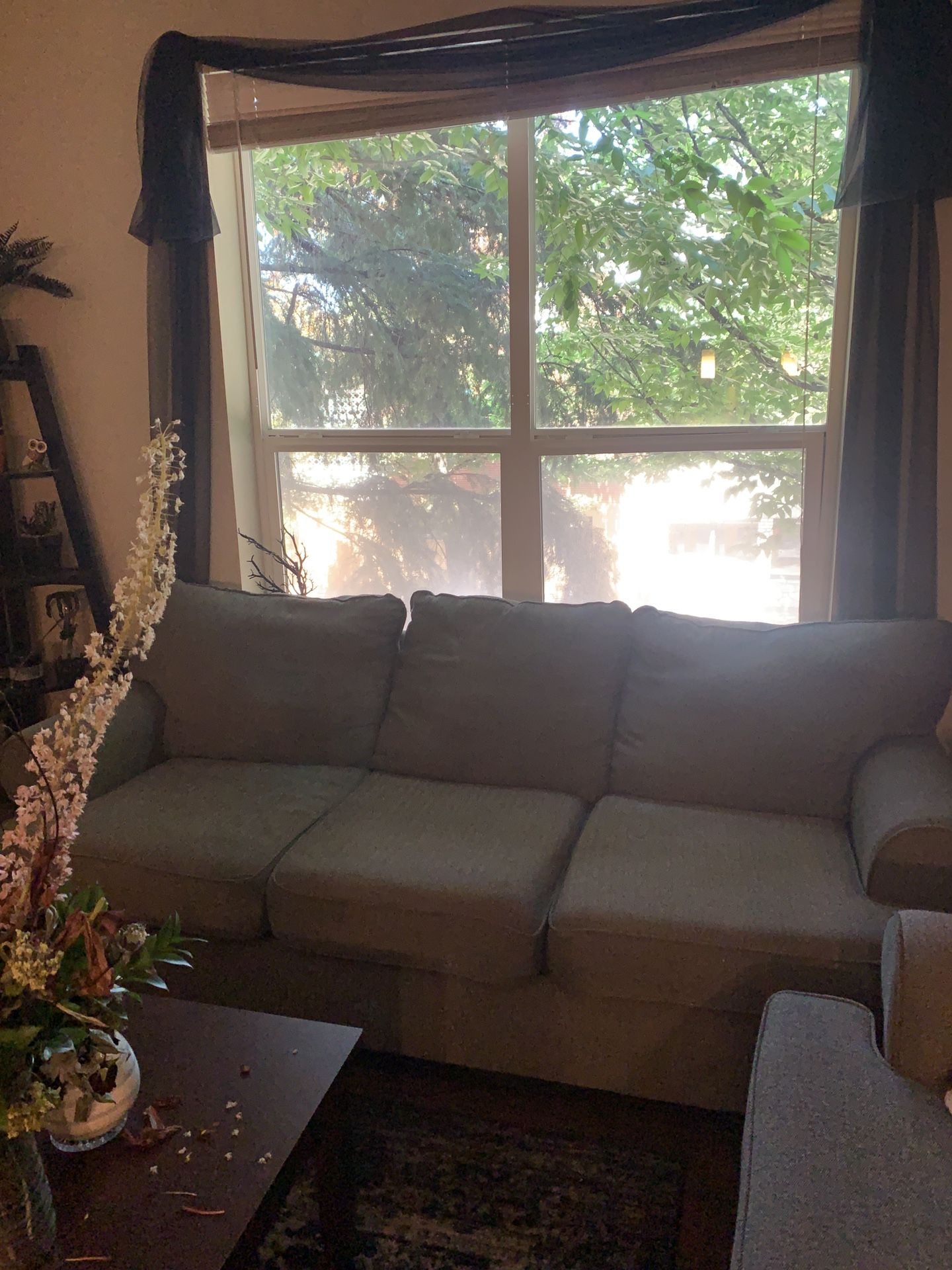 Used Grey Couches for Sale in Eugene, OR OfferUp