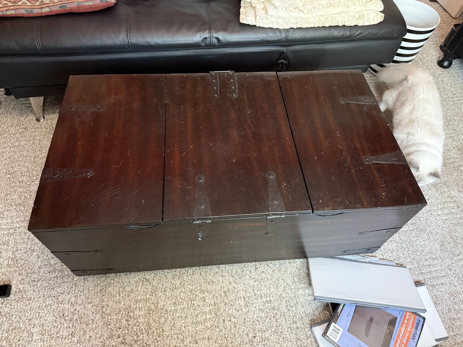 Chest Coffee Table
