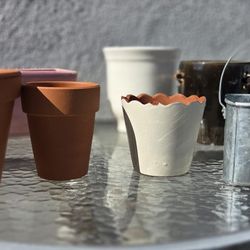 8 Pots MUST BE GONE BY WED 4/28