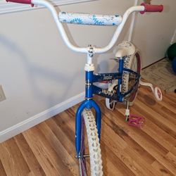 Bicycle 20”