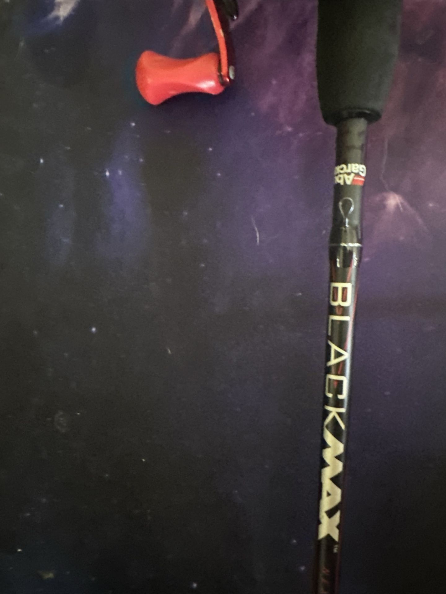 Fishing Rod And Reel