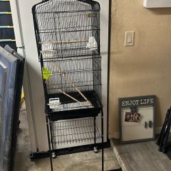 BIRD CAGE