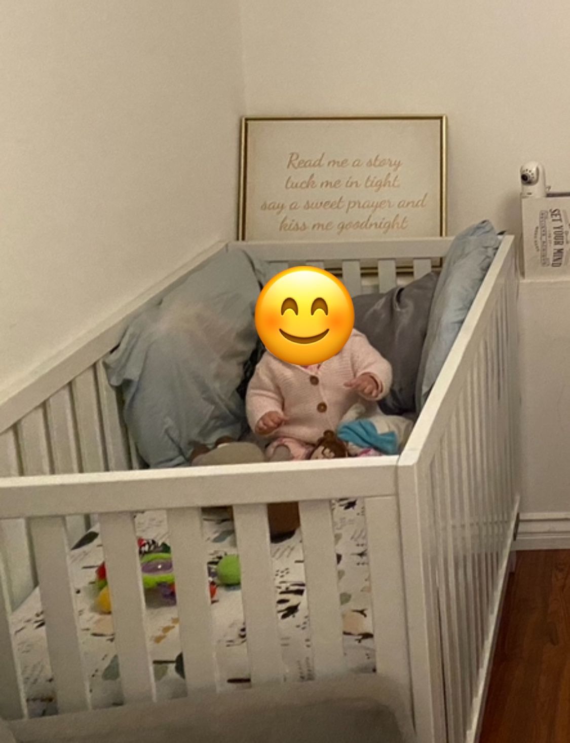 Free crib (Missing some screws & Mattress)