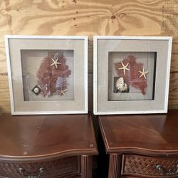 Coral Shell Shadow Box Art