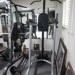 TSA PULL UP & DIP STATION 