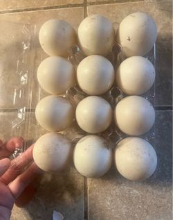 Duck organics