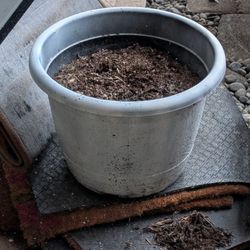 Misc Flower pots, $10 Each, W or W/O potting soil