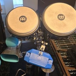 Bongos 