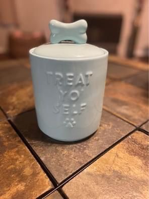 TREAT YO SELF 🐾 TURQUOISE TREAT STORAGE CANISTER