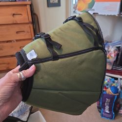 I pet station padded elizabethian collar for a dog or cat.