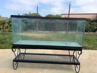 Large Glass Aquarium Tank with Metal Stand