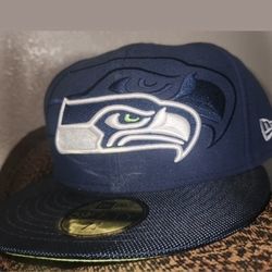 Seattle Seahawks Fitted Hat 