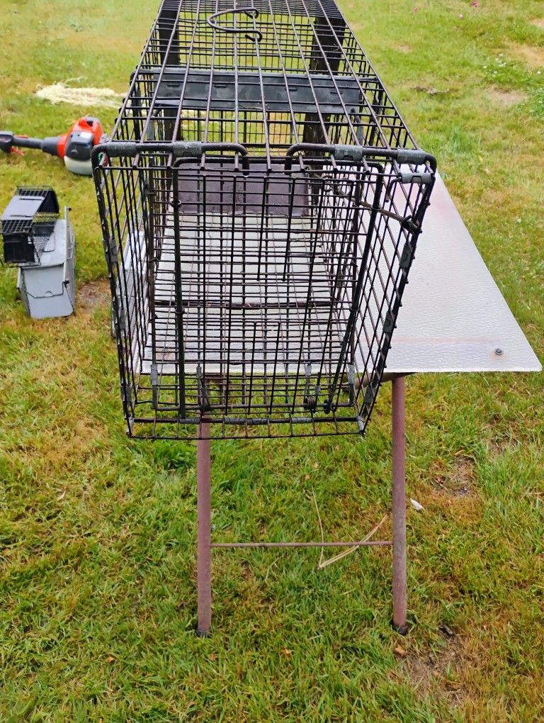Humane Animal Traps