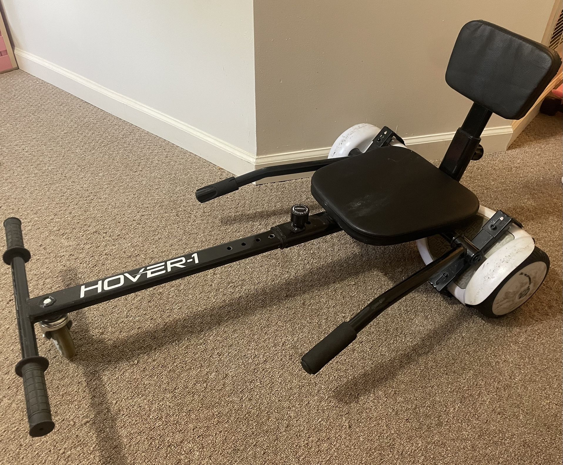 Hover Board And Cart
