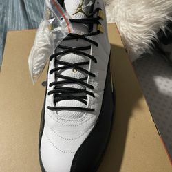 Air jordan 12 retro