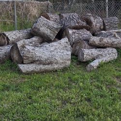 Free Pecan And Pine Trunks