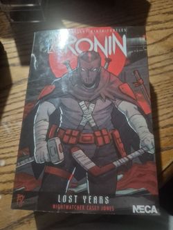 The last robin ( Nightwatcher Casey Jones)