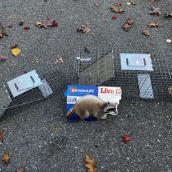 Two HaveAHeart Animal Traps