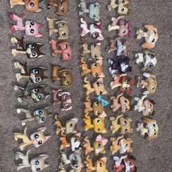 Huge Lot of Top 5’s 40+ Pets