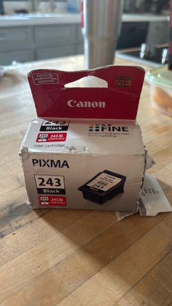 Canon printer Pixma Black 243 printer cartridge.