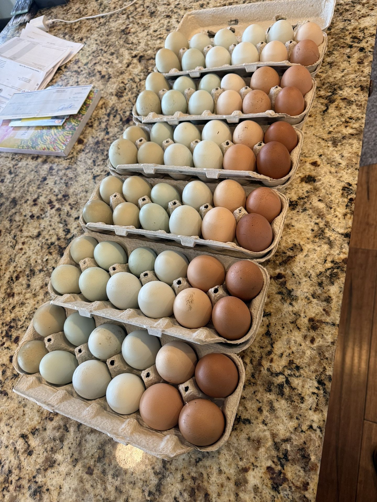 Fresh EGGS !