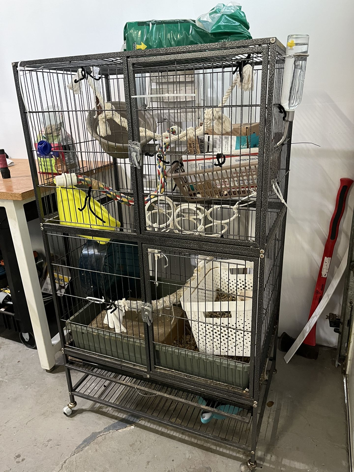 Rodent, Critter, Rat Cage