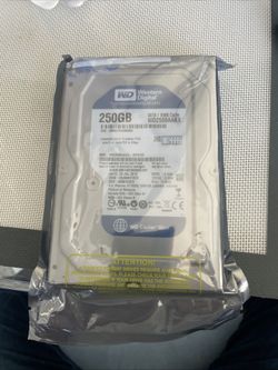 250 GB Hard Drive Western Digital IDE