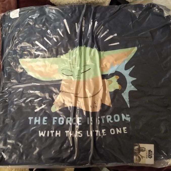 New In Package Baby Yoda Star Wars Pet Bed!
