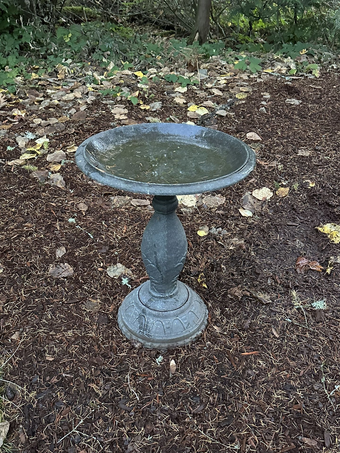 Bird Bath