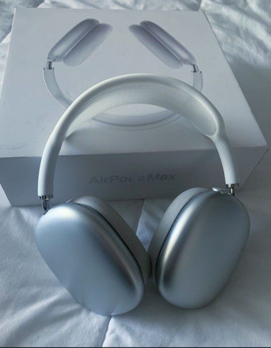 Silver Apple iPod Headphones - Mint Condition