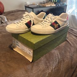 Gucci Ace Bee Shoes 