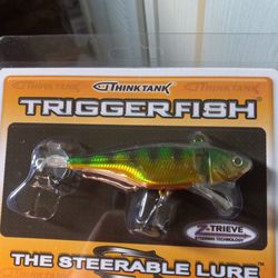 Trigger Fish Lure
